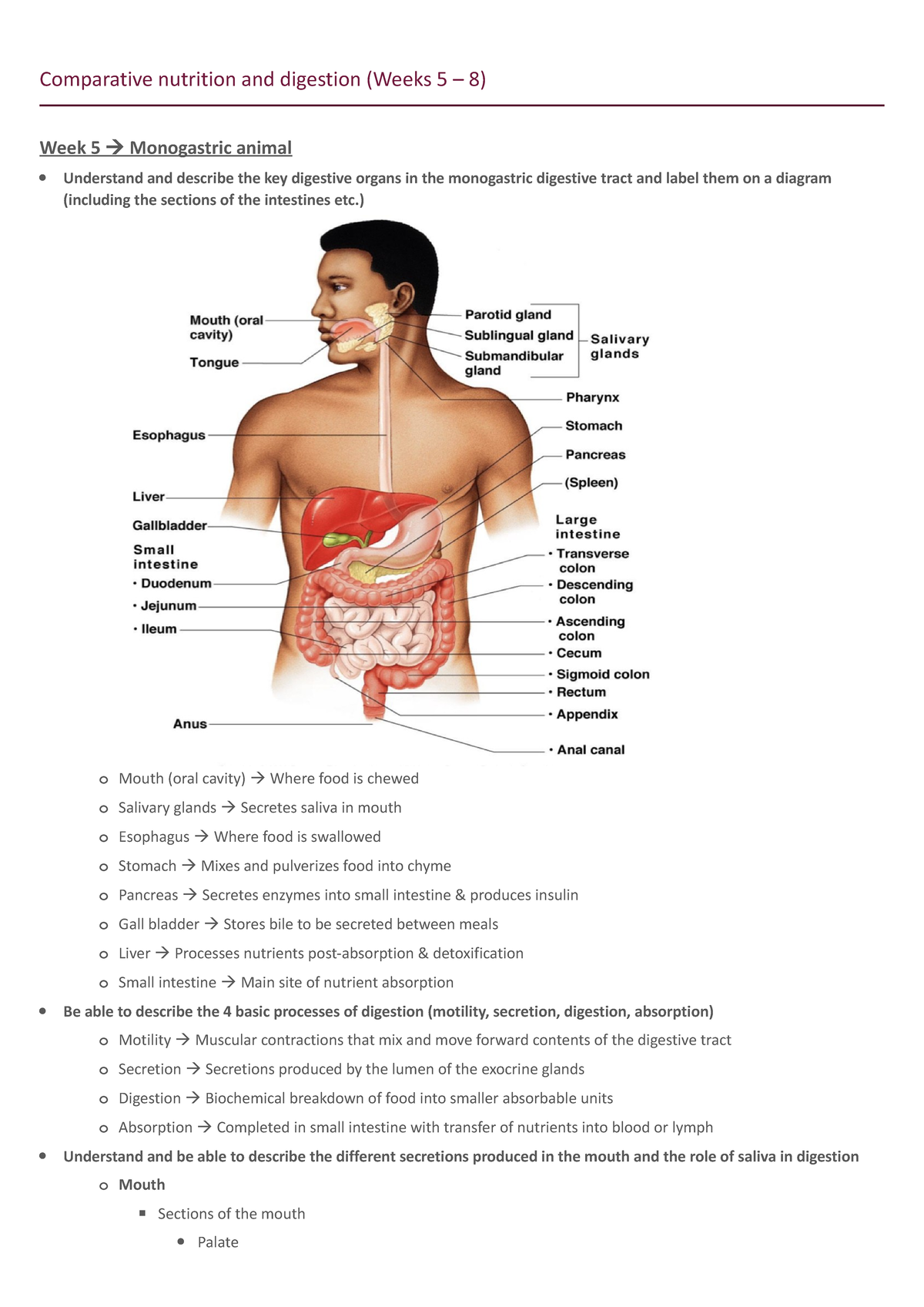 Nutrition - Comparative nutrition and digestion (Weeks 5 – 8) Week 5 ...