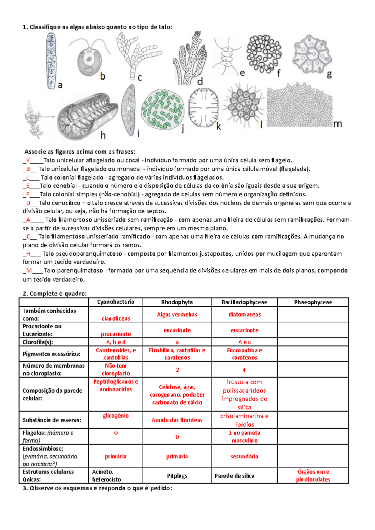 Prova 14 Setembro, questões e respostas - 1. Classifique as algas ...