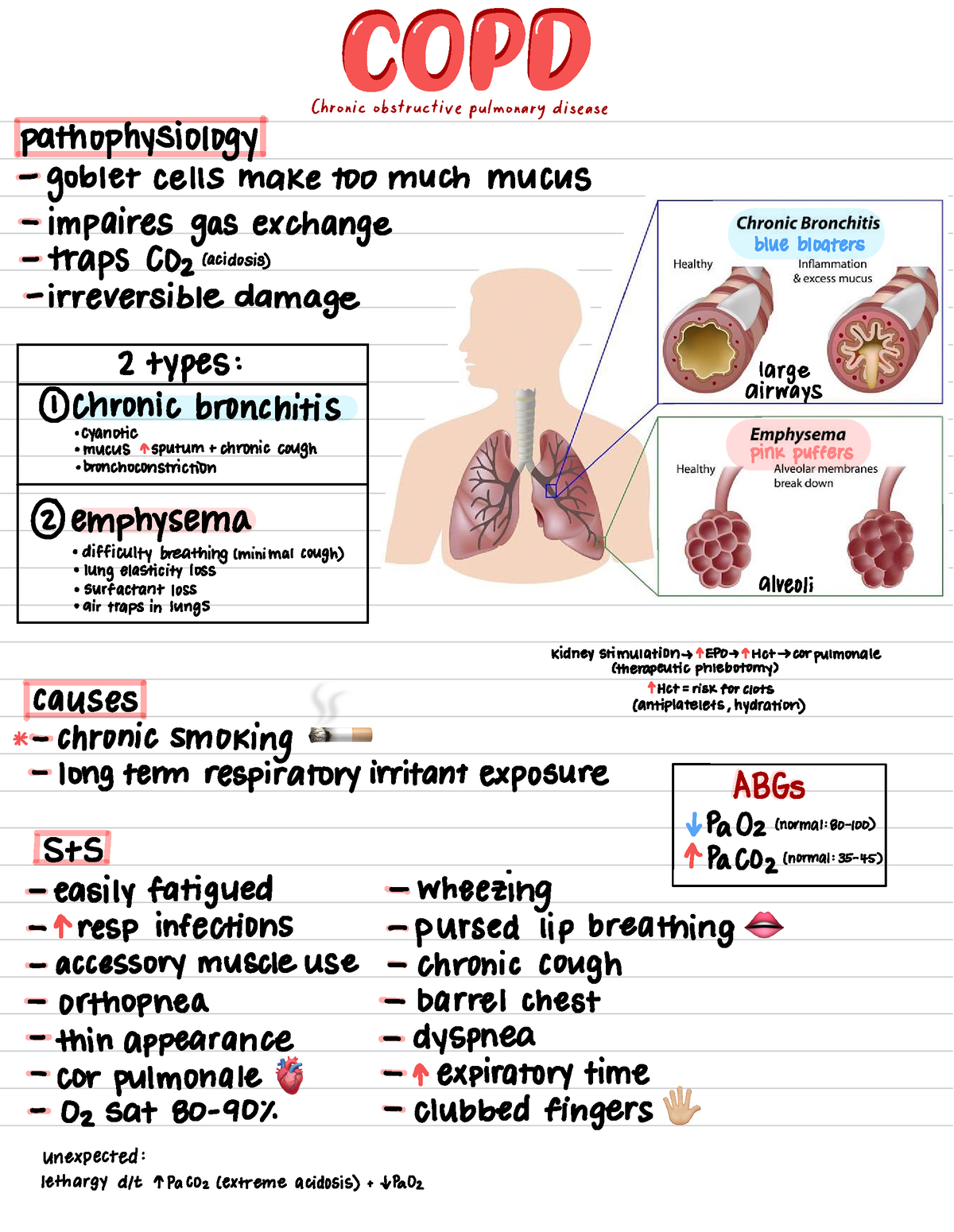 COPD - COPD study sheet - NSG 320 - Studocu