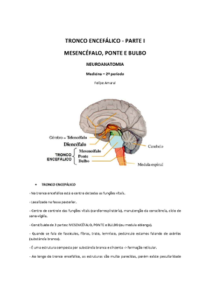Nucléos DA BASE - NUCLÉOS DA BASE São constituídos por um conjunto de ...