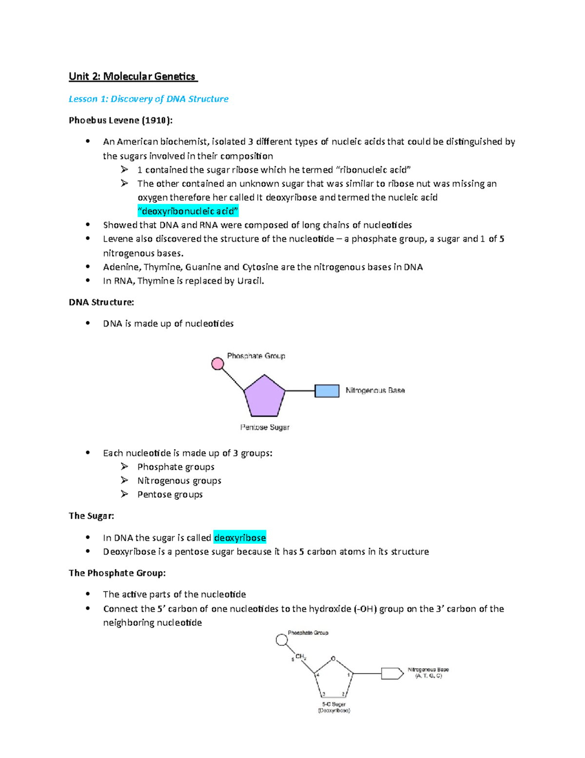 Unit 2 Molecular Genetics - Unit 2: Molecular Genetics Lesson 1 ...