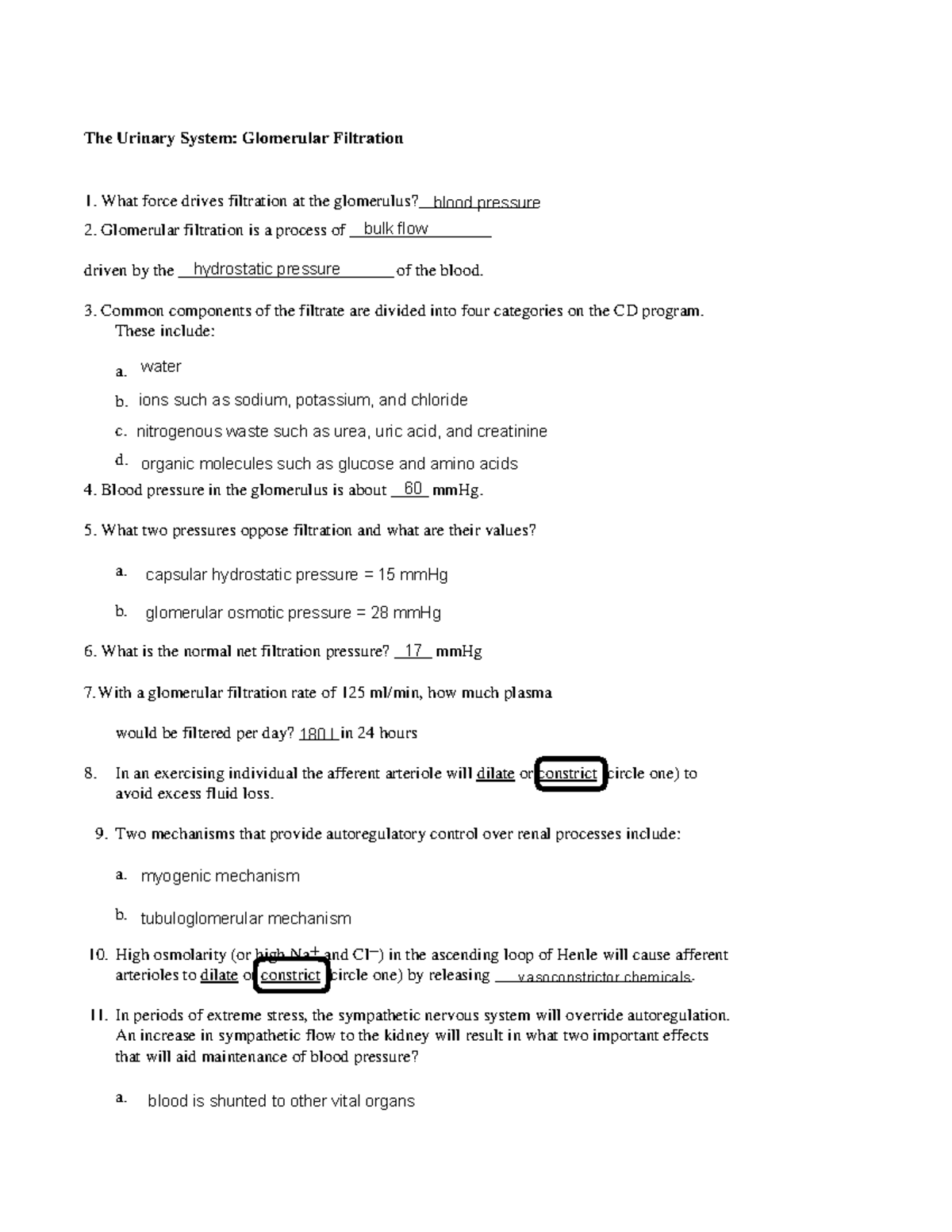 BIO 232 Urinary System Glomerular Filtration Worksheet StuDocu