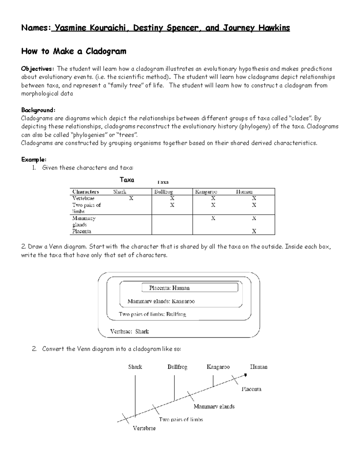 Making a Cladogram - Names: Yasmine Kouraichi, Destiny Spencer, and ...