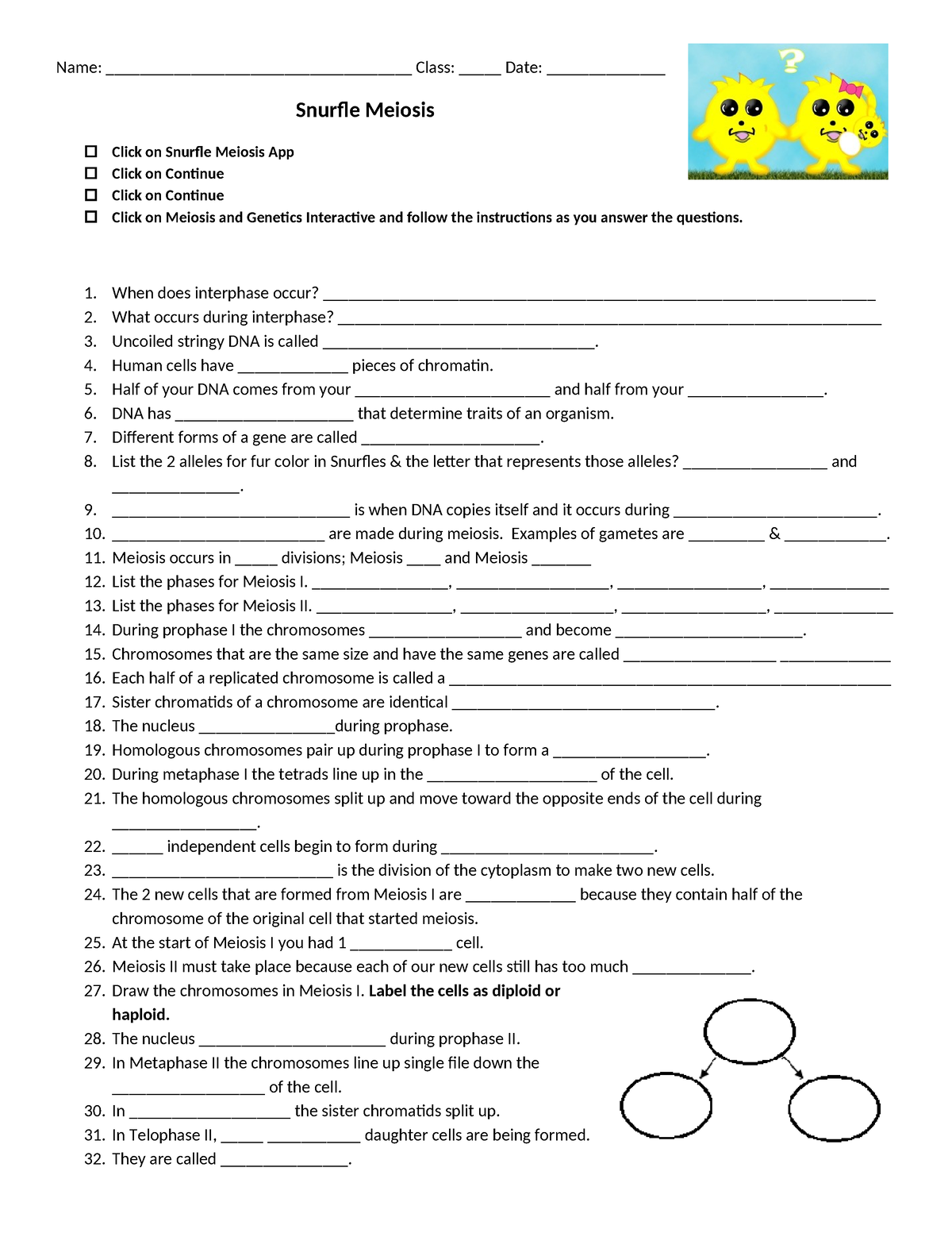 Copy Of Snurfle Meiosis - Name ...