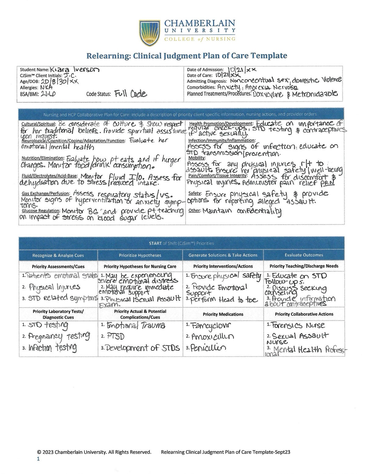 Relearning Clinical Judgment Plan Of Care Template