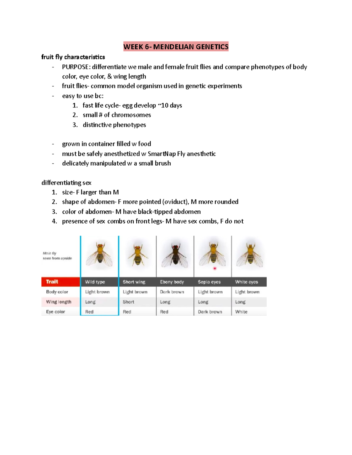 Exam 2 labs Professor Daniel Kazerskiy Fall 2020 WEEK 6 MENDELIAN