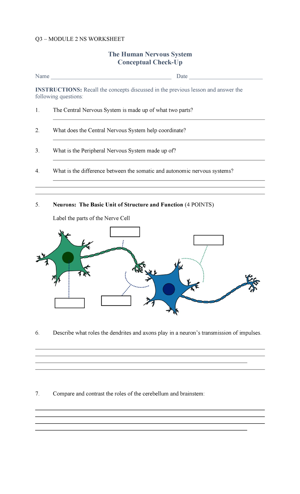 The Human Nervous System - Worksheet - Q3 – MODULE 2 NS WORKSHEET The ...