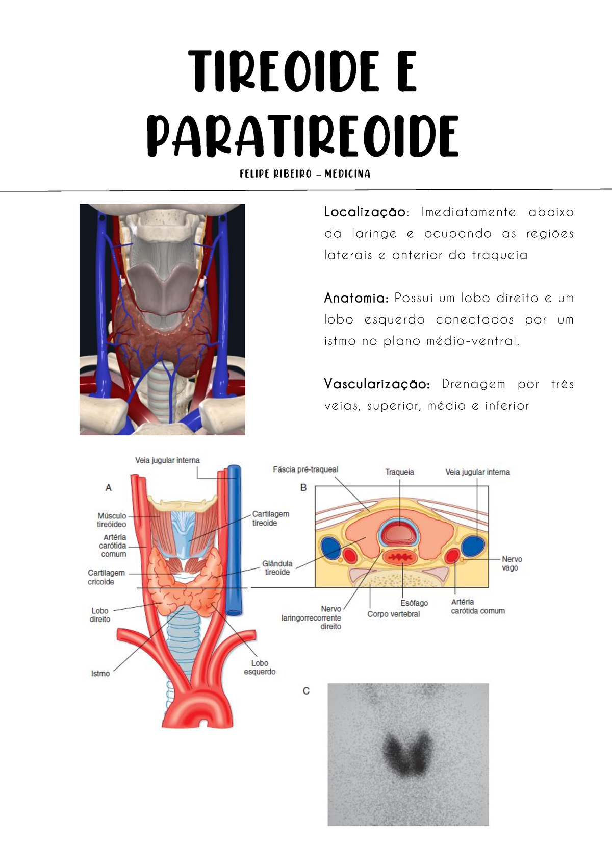 Estudo APG 16 Tireoide e Paratireoide TIREOIDE E PARATIREOIDE F E L