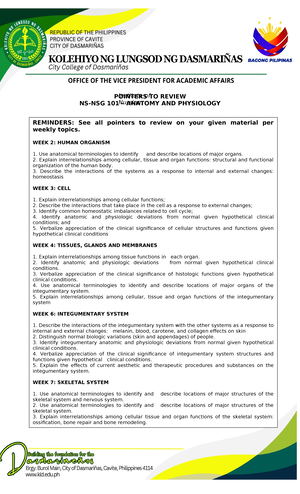 Anatomy visual data 3