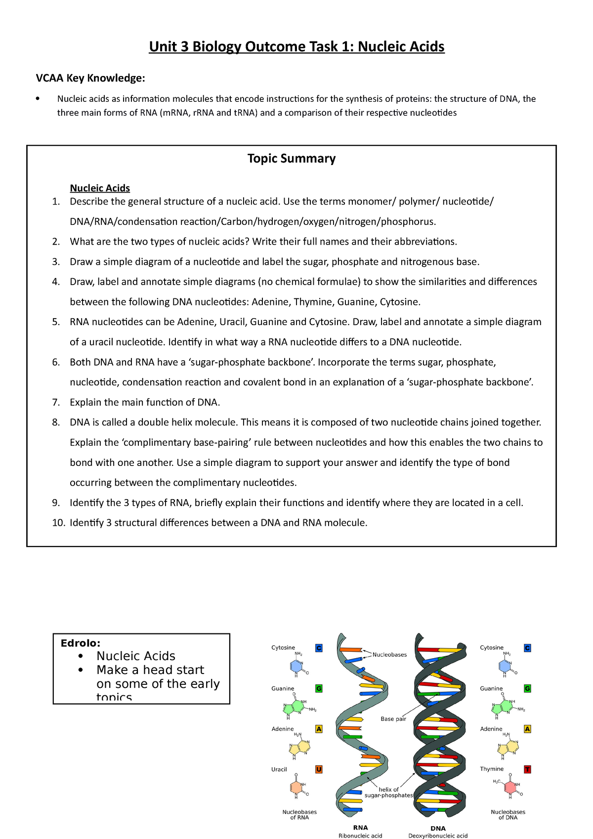 Outcome Task 1 - Nucleic Acids (Holiday Homework) - Unit 3 Biology ...