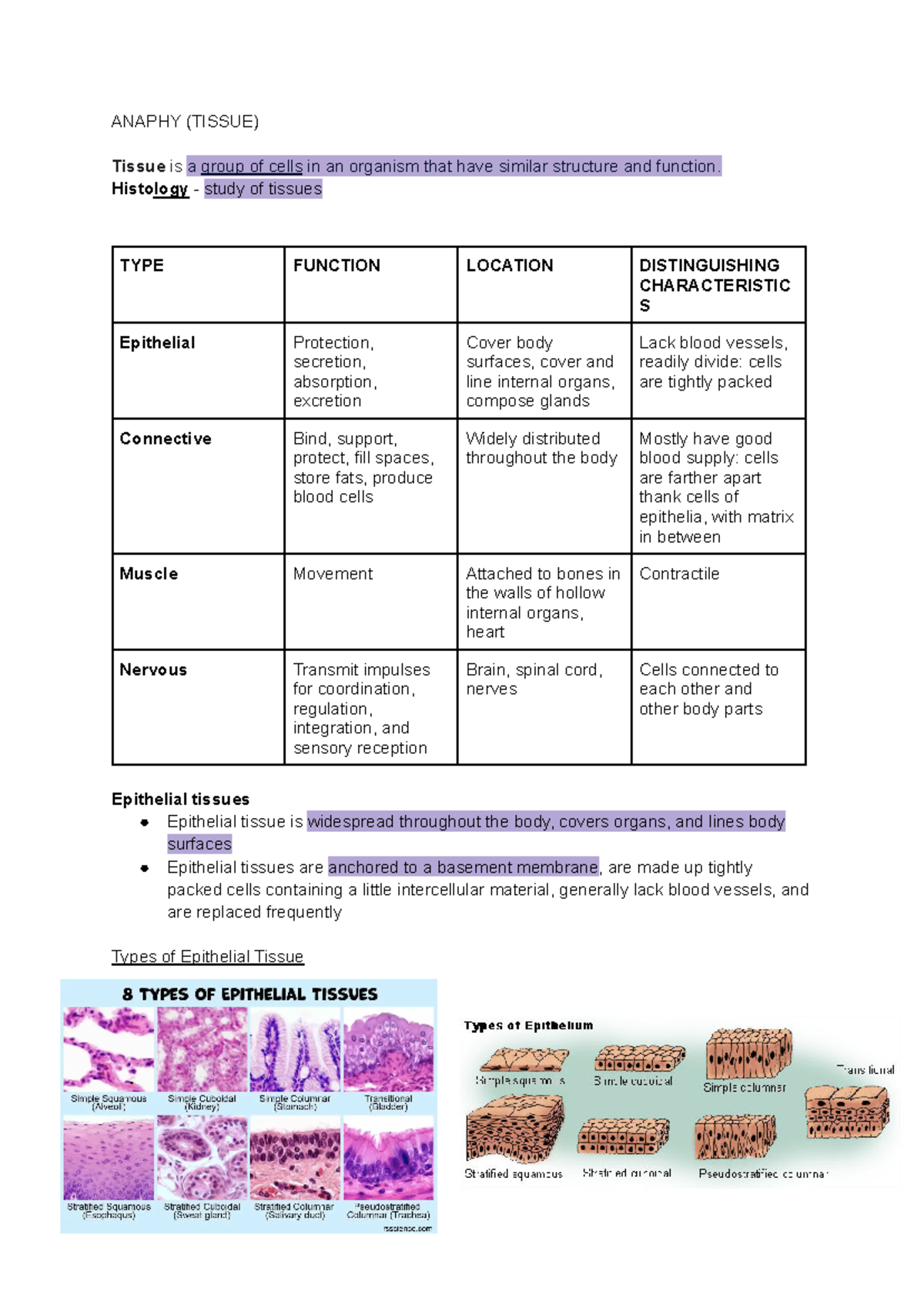 Tissue ( Anaphy) - ANAPHY (TISSUE) Tissue is a group of cells in an ...