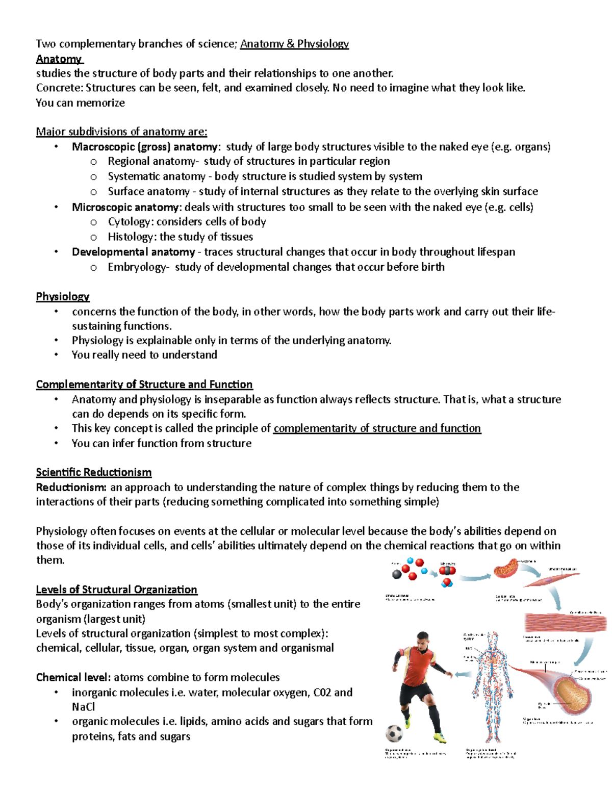 ANP 1105 Midterm 1 - Notes - Two Complementary Branches Of Science ...