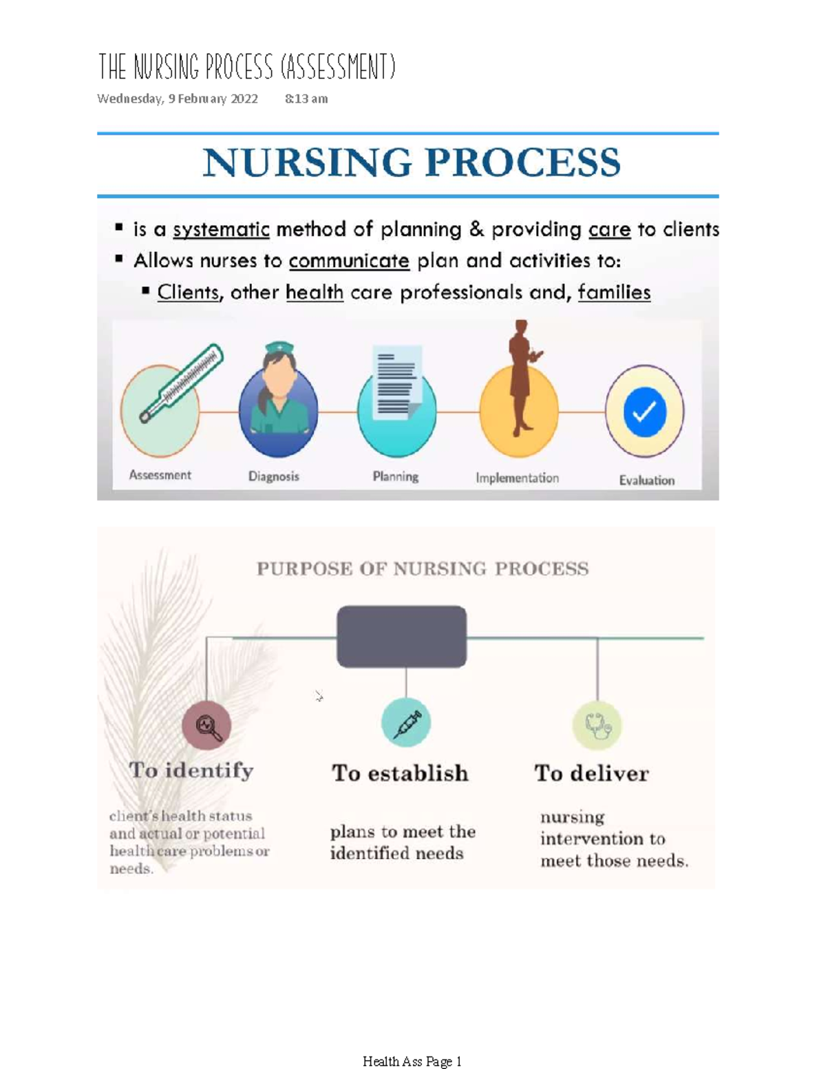 The Nursing Process Assessment by BSN - The Nursing Process (Assessment ...