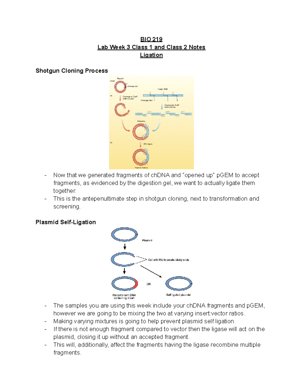 BIO 219 Lab Week 3 Class 1 and 2 Notes - BIO 219 Lab Week 3 Class 1 and ...