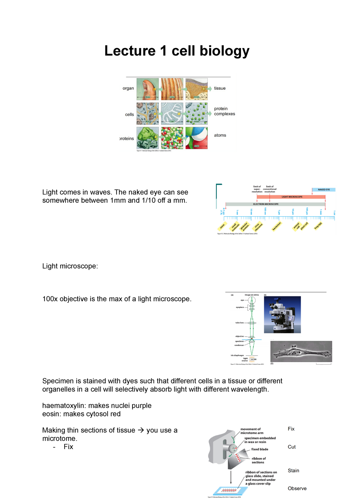 Alle Lectures Cell Biology Lecture Cell Biology Light Comes In Waves The Naked Eye Can See