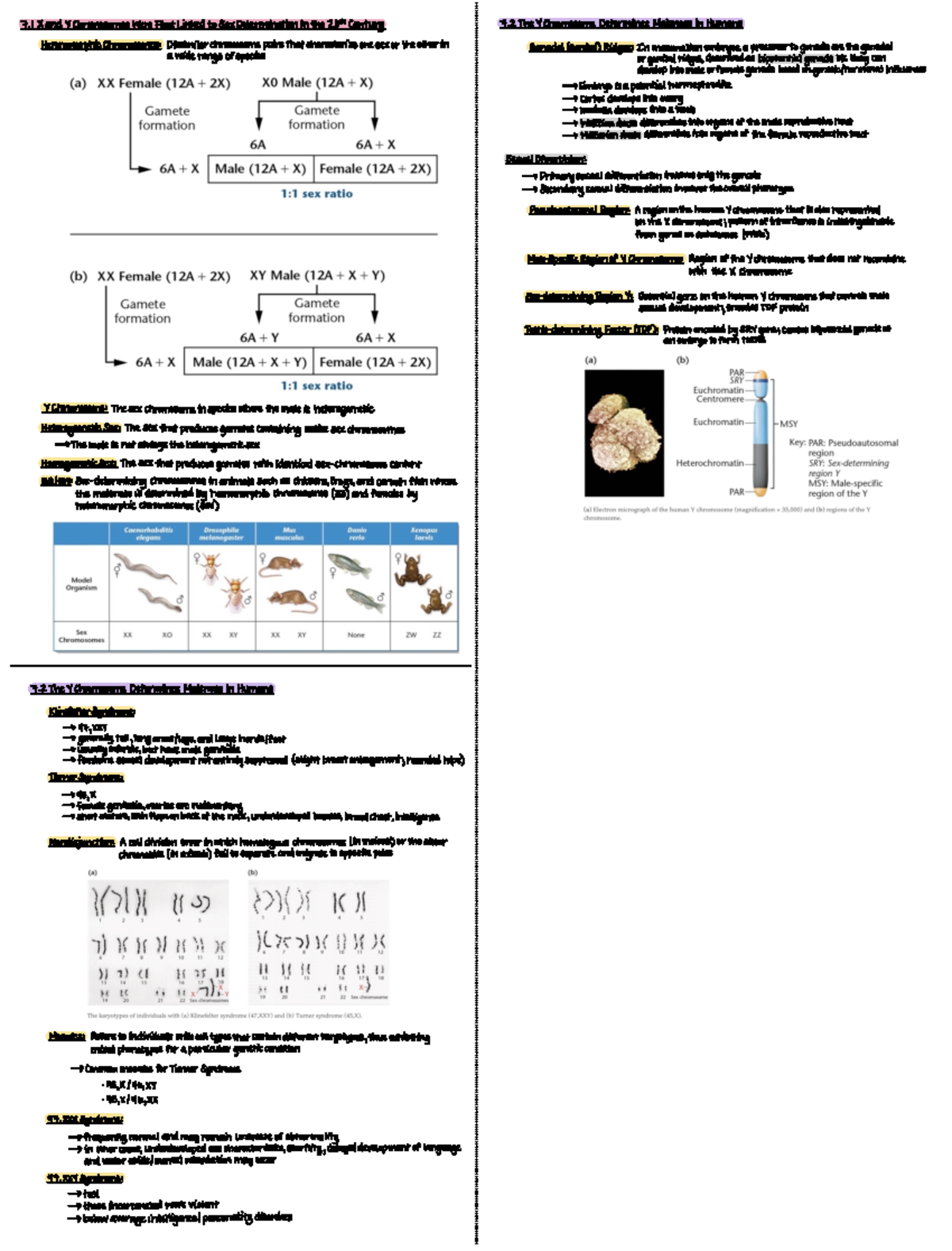 Chapter 7 Sex Determination and Sex Chromosomes - 4 Xand inked x nation ...