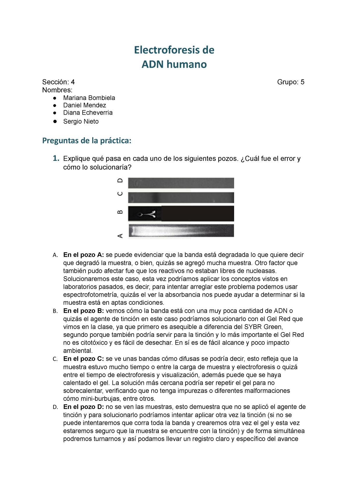 Electroforesis De ADN - Biologia Molecular-Teoria - Uniandes - Studocu