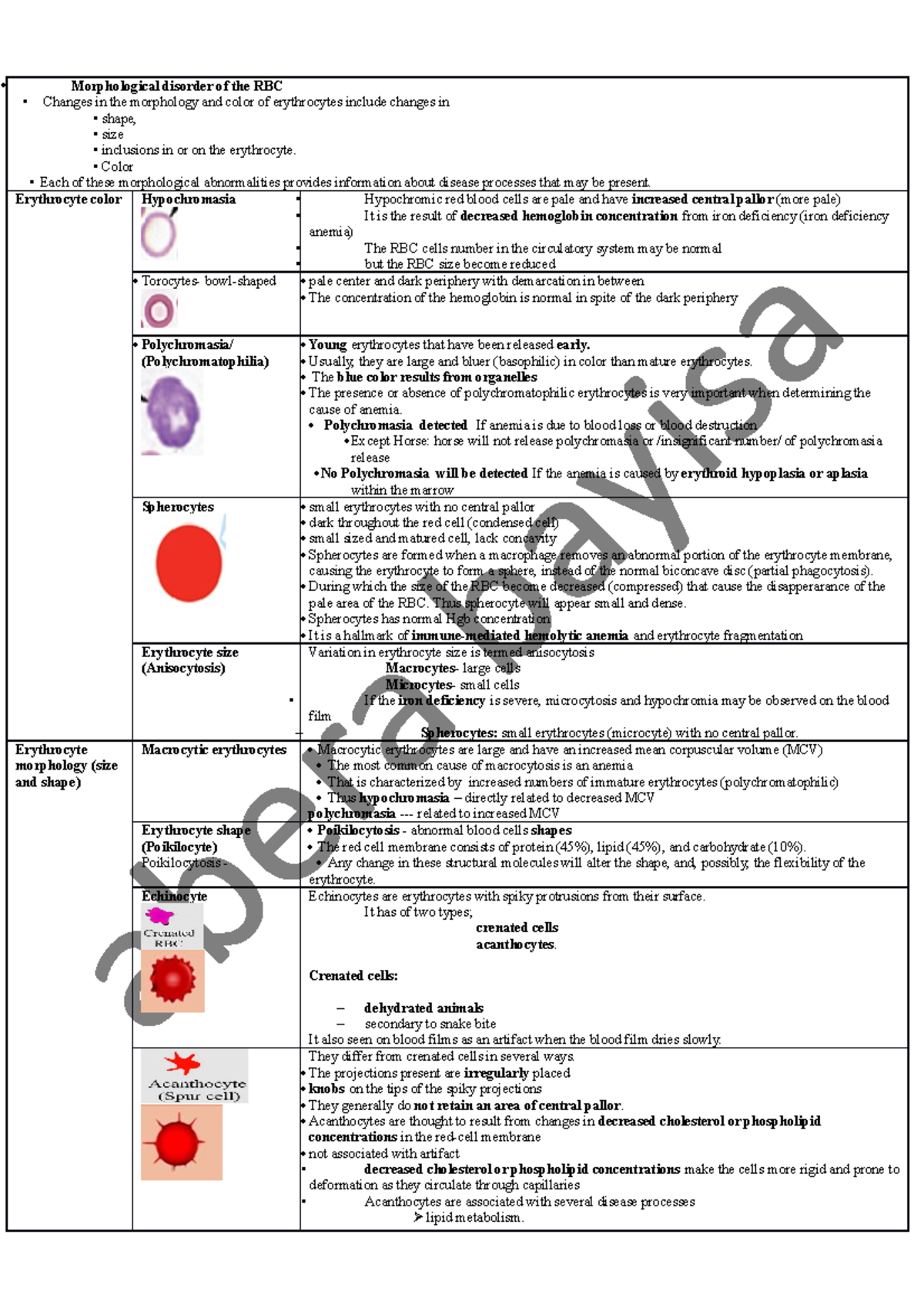 Disorder of the RBC - Morphological disorder of the RBC Changes in the ...