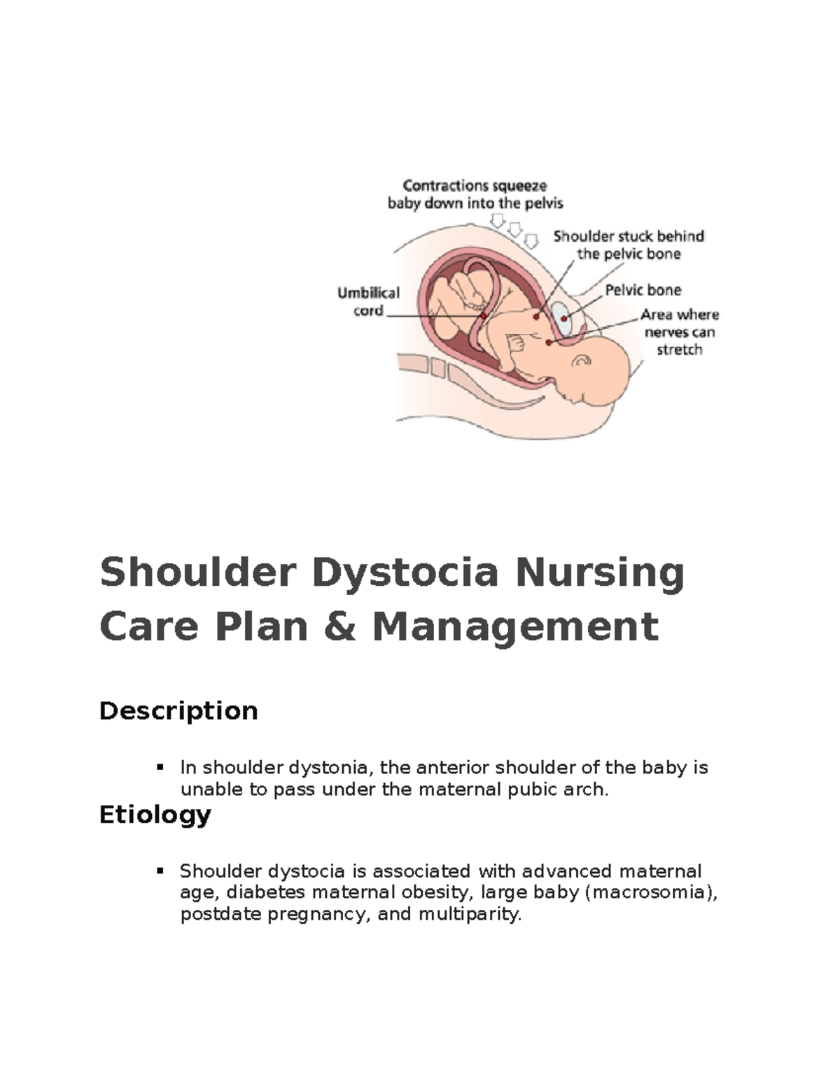 Shoulder Nursing Management Shoulder Dystocia Nursing Care Plan