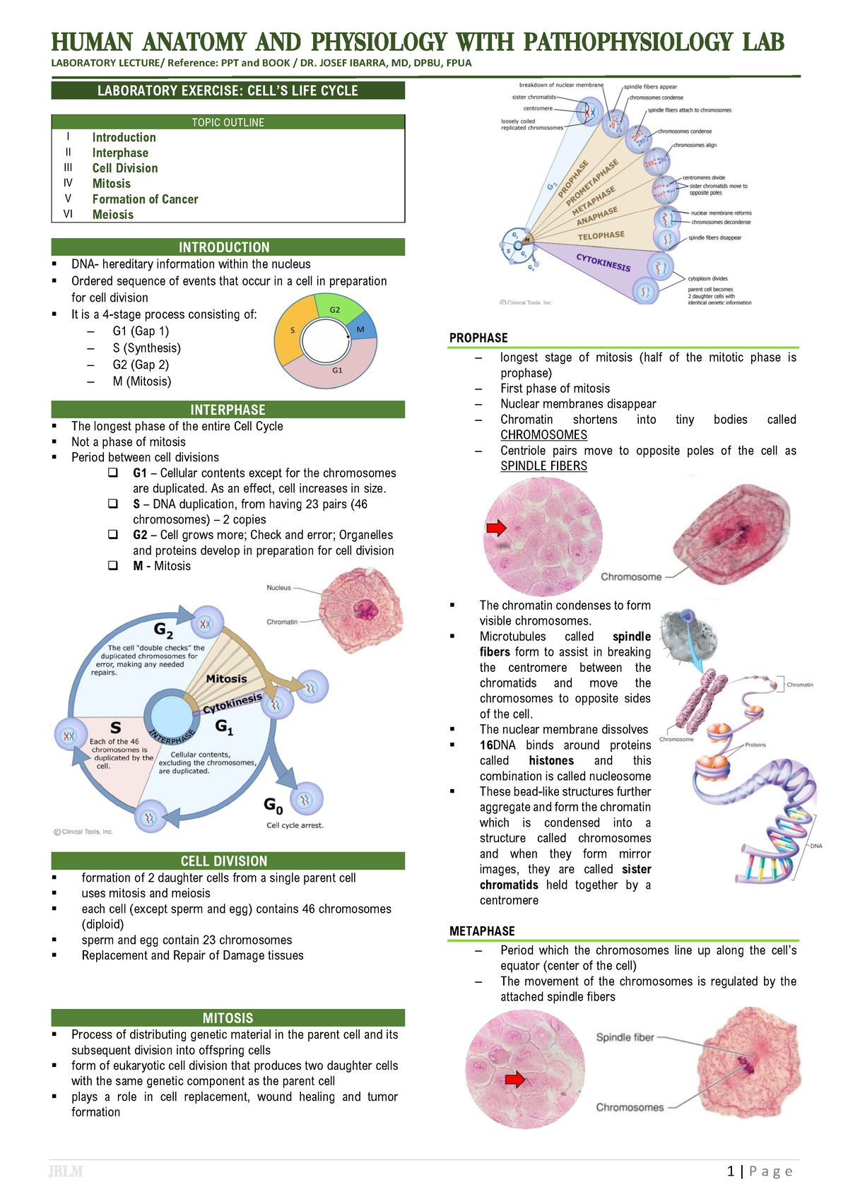 HAPP LAB - Cells LIFE Cycle - Human Anatomy and Physiology WITH ...