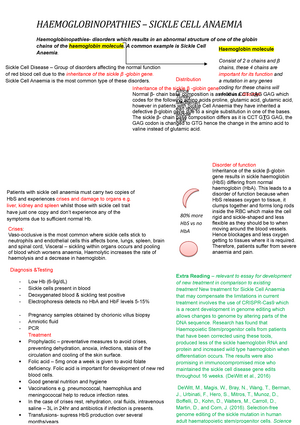 Haematology Revision - Describe In Detail How The Formation And ...