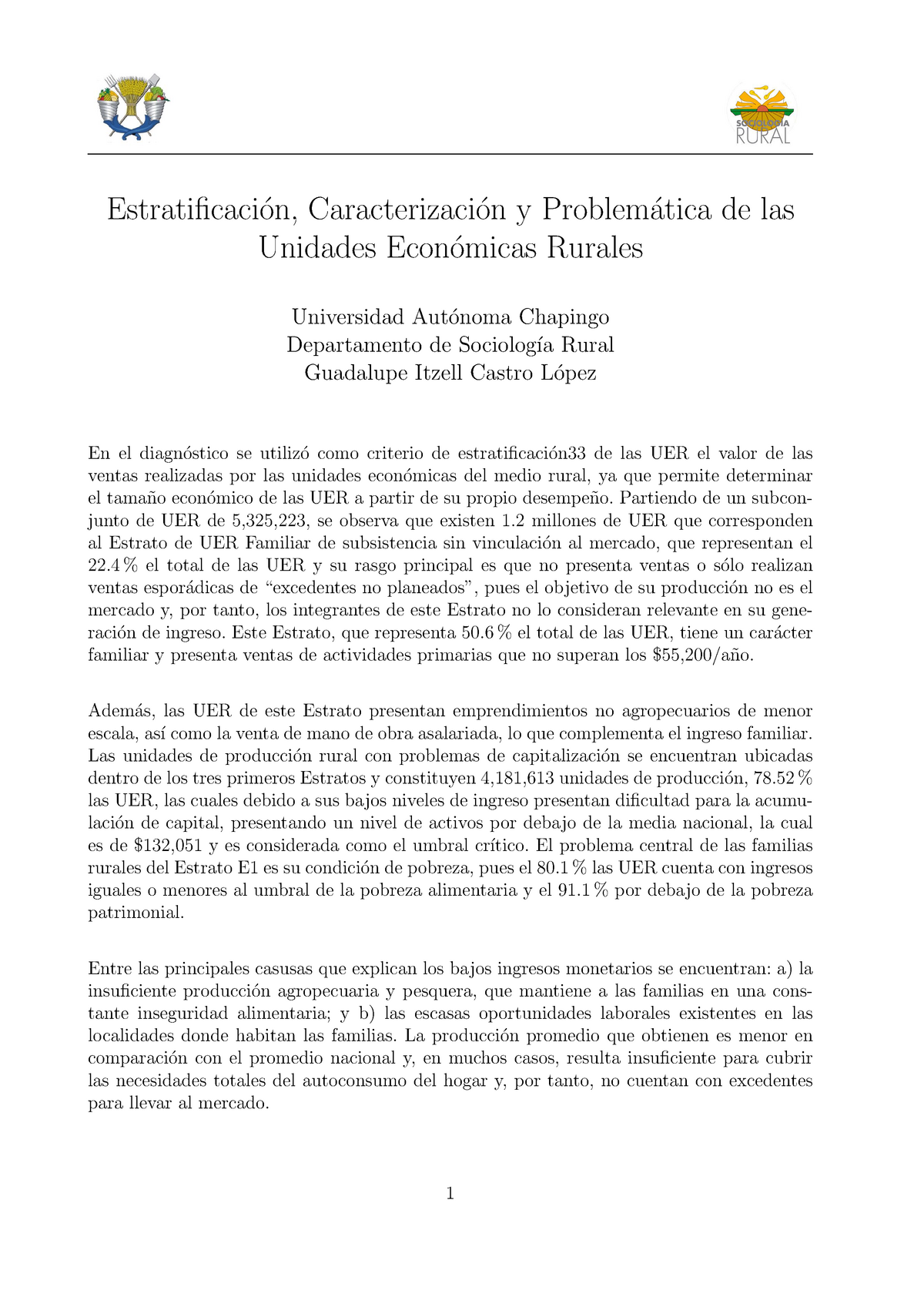 Estratificaci N Caracterizaci N Y Problem Tica De Las Unidades Econ ...