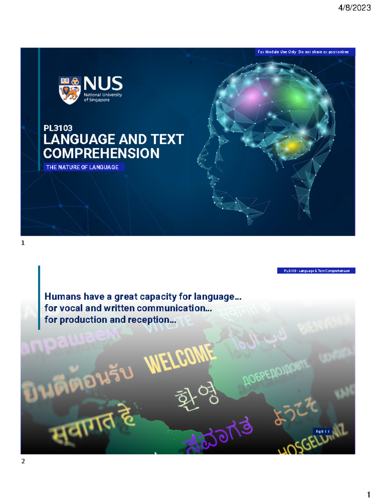 Chapter 10.1 Language and Text Comprehension Nature of Language ...