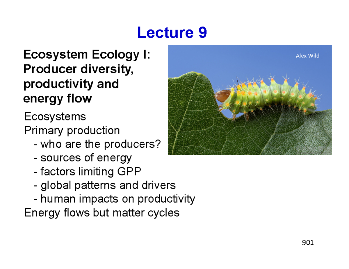 Lec 9 slides Full There is no description Ecosystem Ecology I