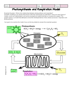 [Solved] Use the Pigeonhole Principle to prove the statement 1If you ...