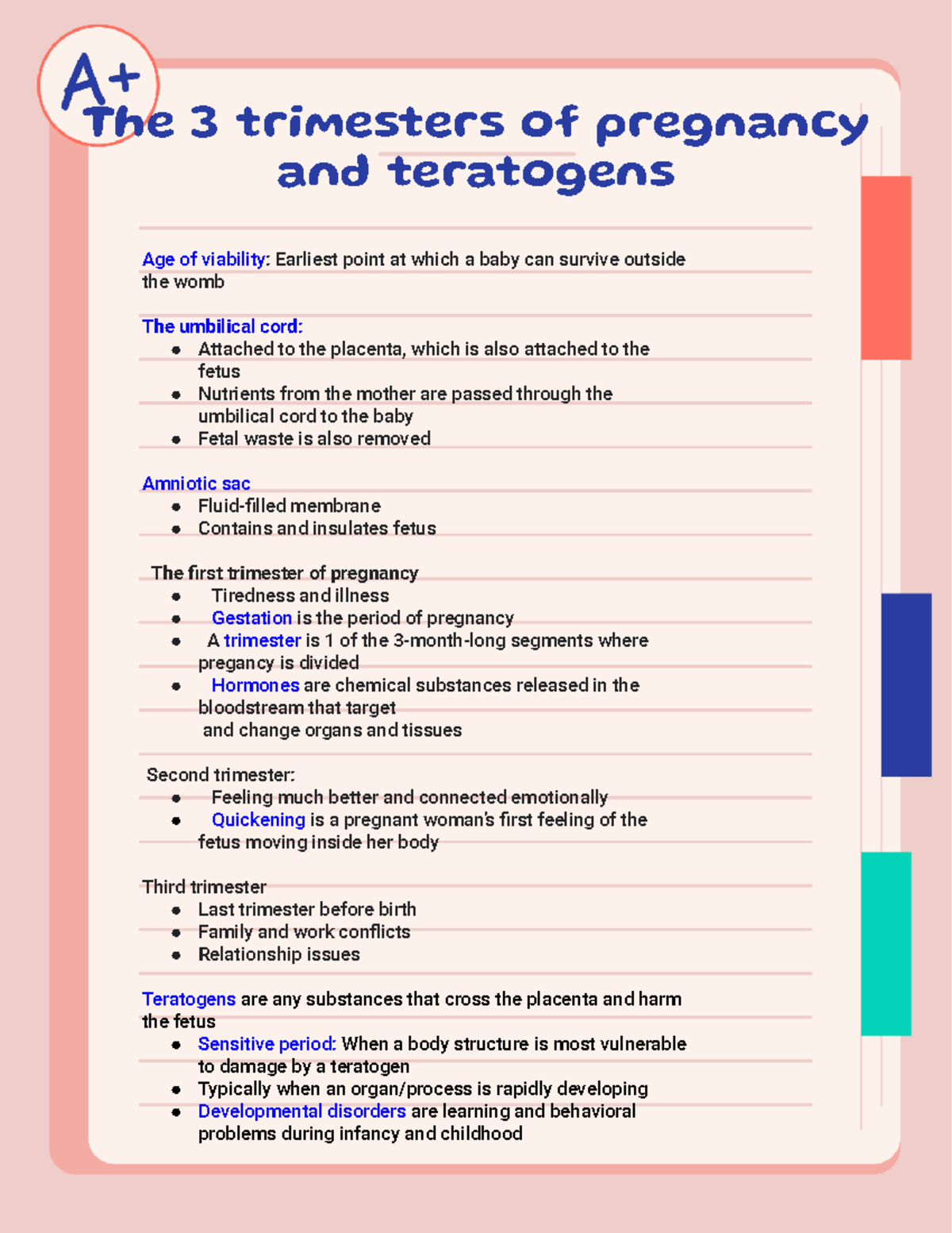 Pregnancy And Teratogens The 3 Trimesters Of Pregnancy And Teratogens Age Of Viability