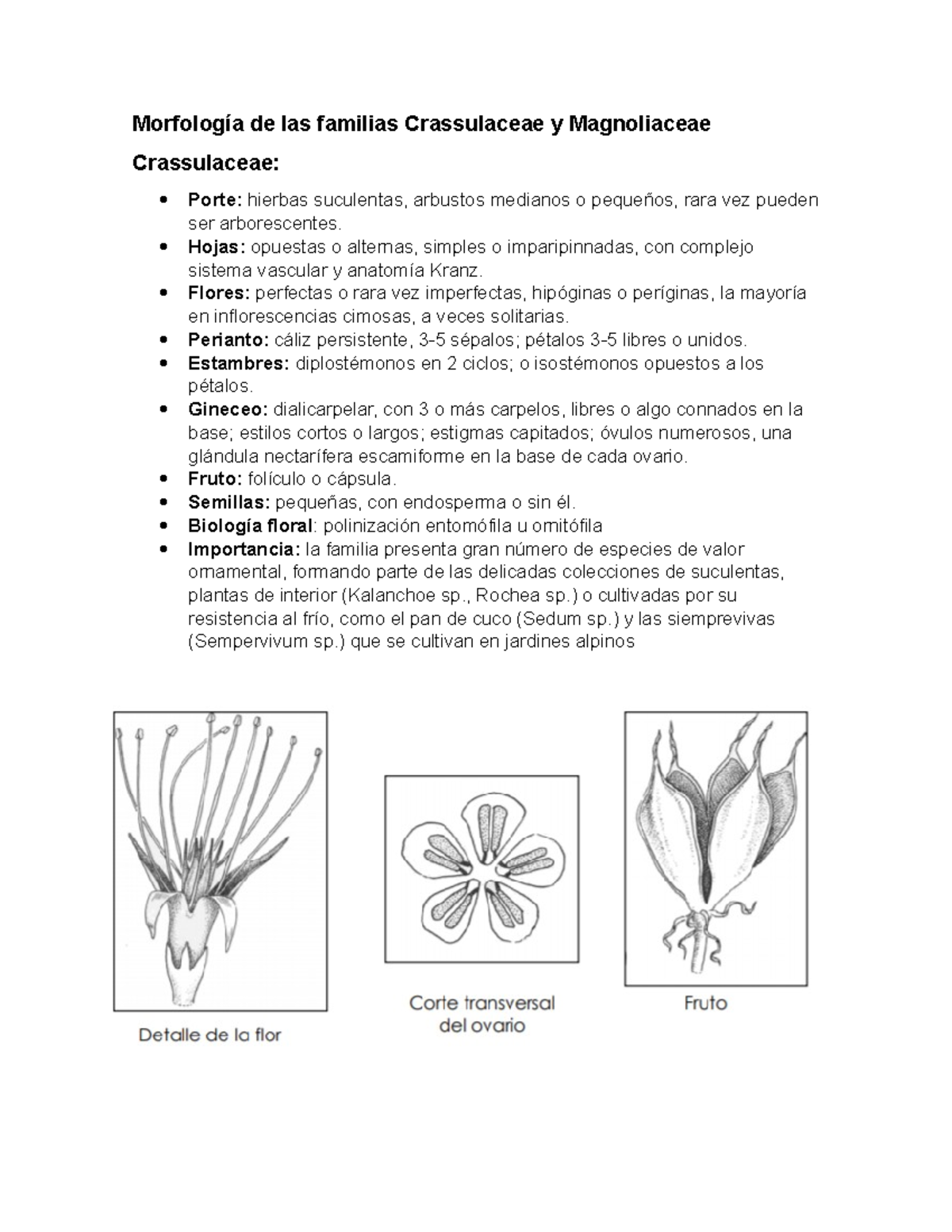 Familia Crassulaceae y Magnoliaceae - Morfología de las familias ...