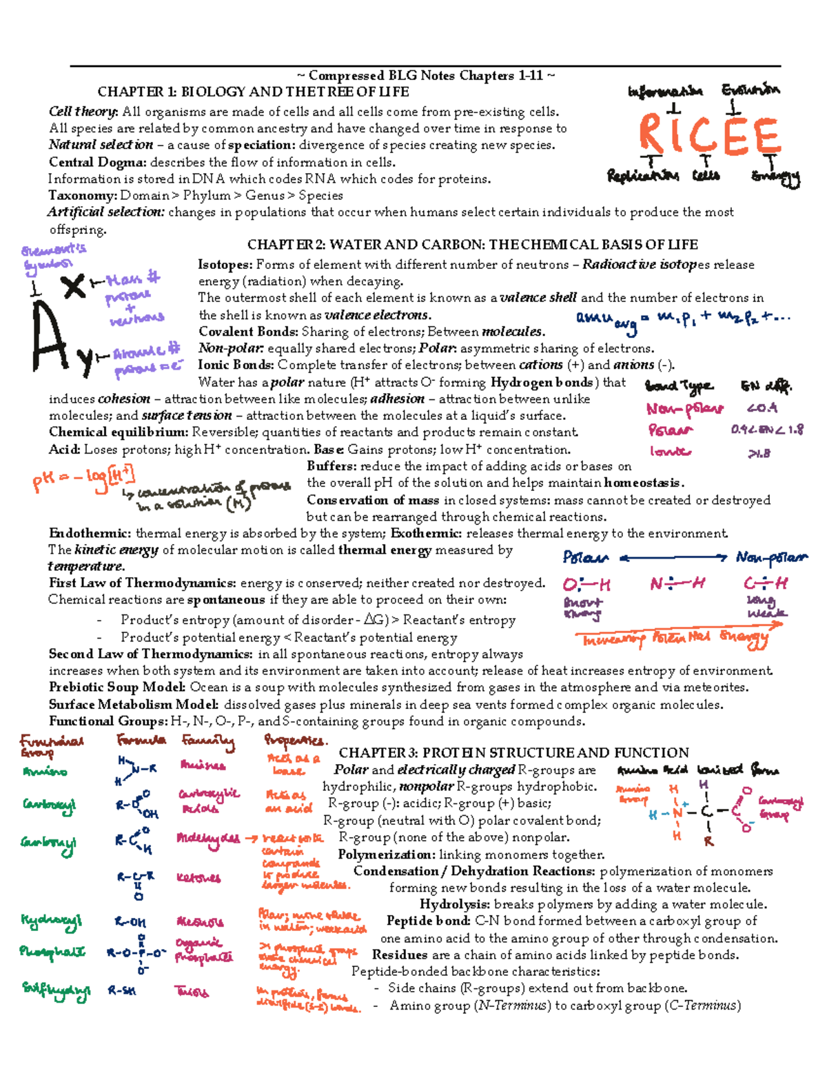 BLG Midterm Notes - ~ Compressed BLG Notes Chapters 1-11 ~ CHAPTER 1 ...