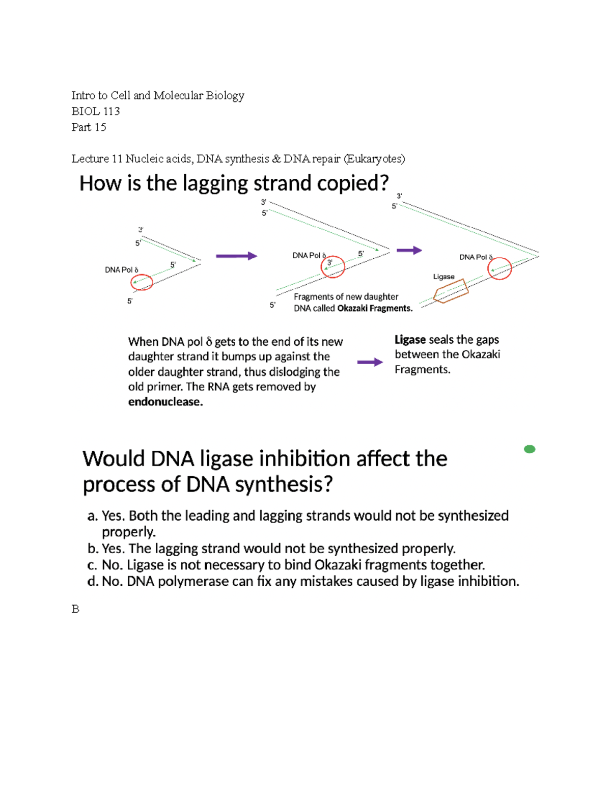 Intro to Cell and Molecular Bio 113 Lecture Notes Part 15 - Dr. Sarah ...