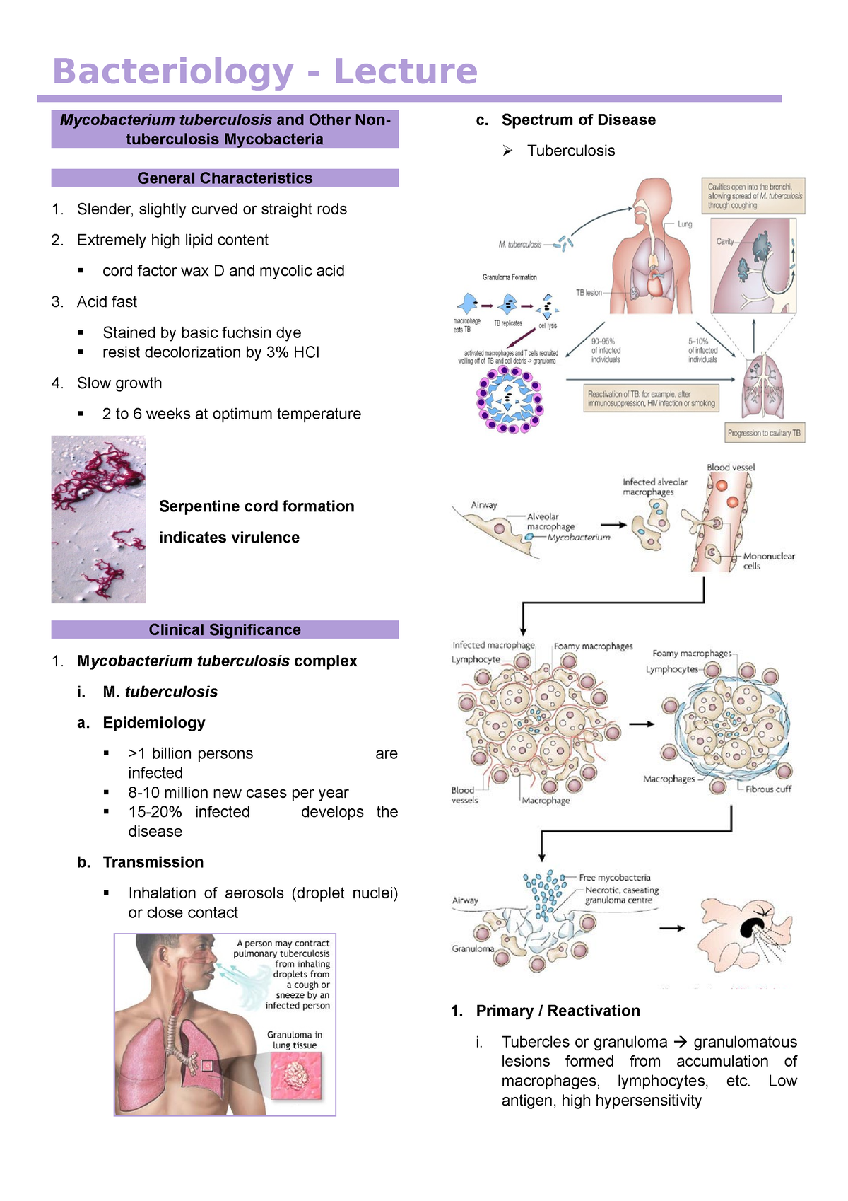 Mycobacterium tuberculosis - Bacteriology - Lecture Mycobacterium ...