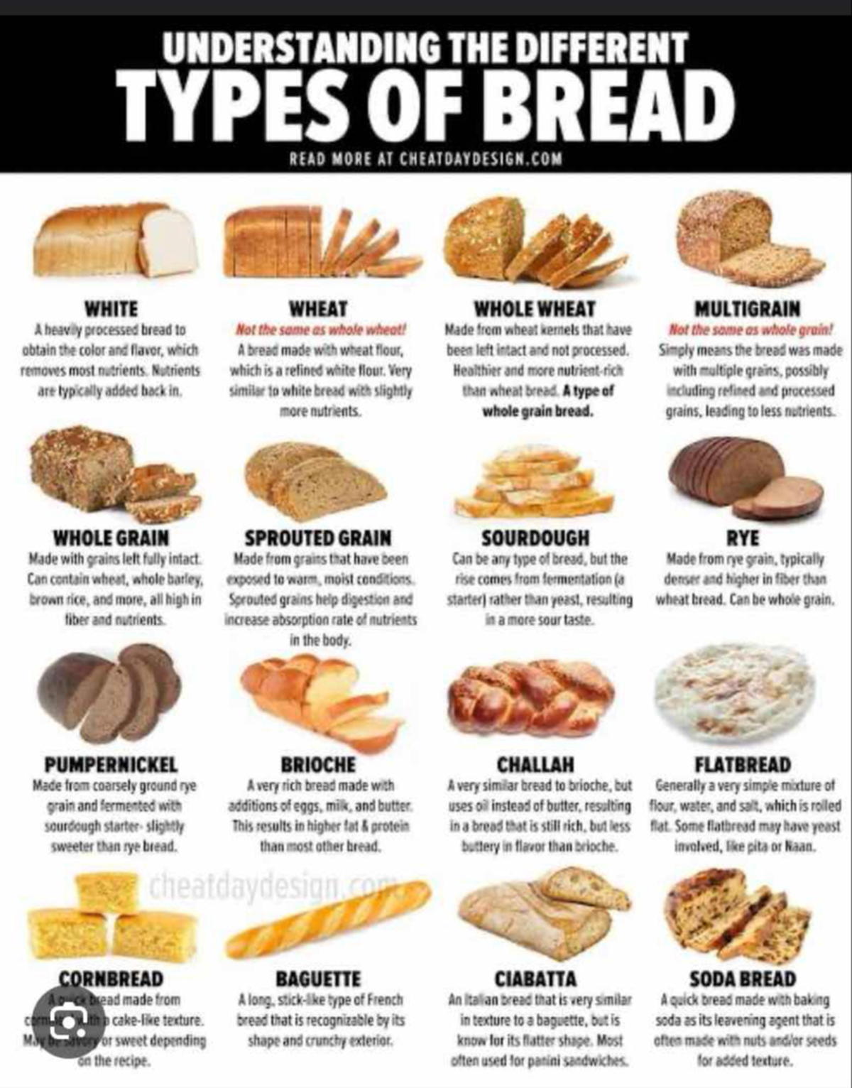 Doc 05 Aug, 4 - TYPES OF BREAD - UNDERSTANDING THE DIFFERENT TYPES OF ...