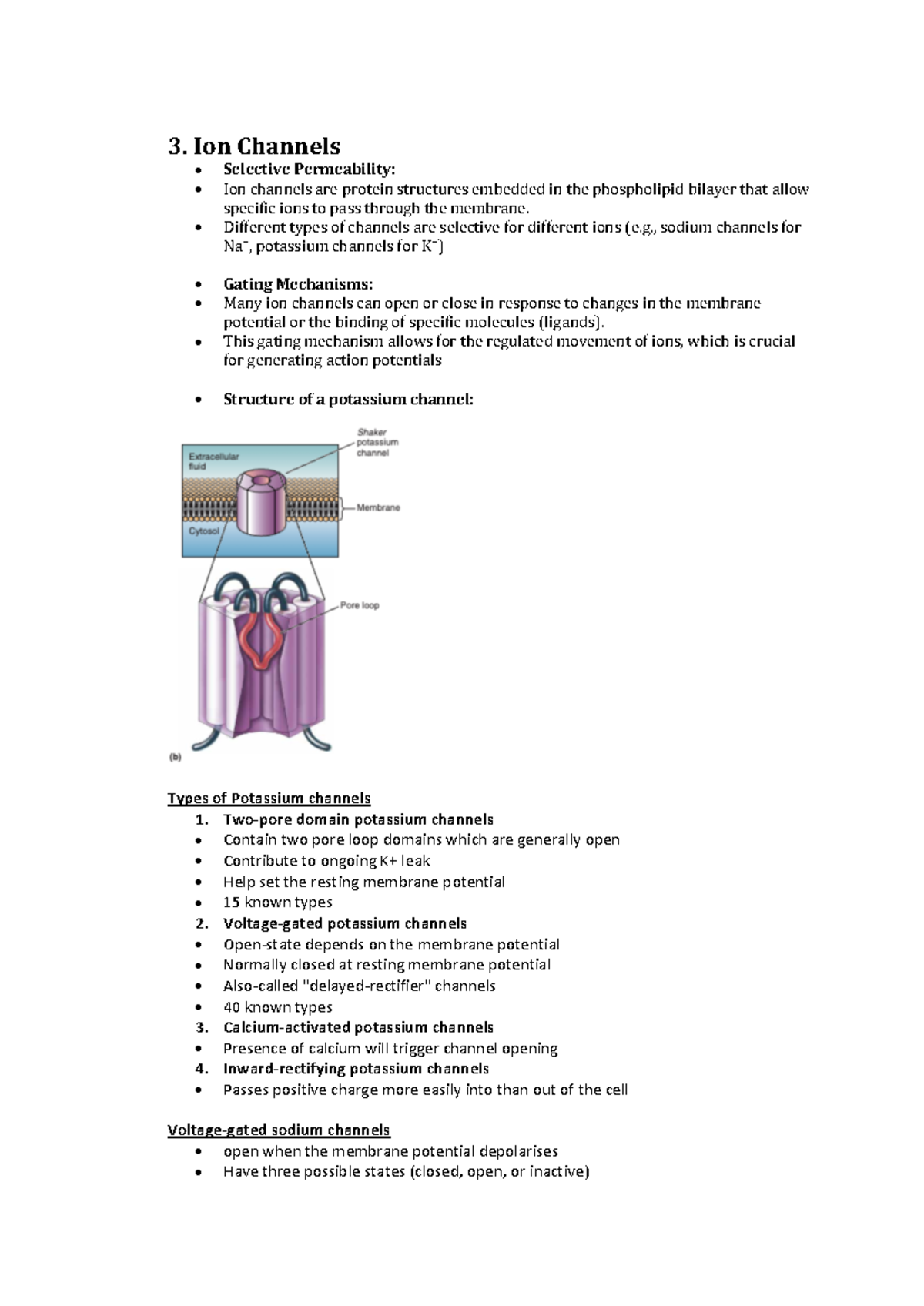 Notes-2b - Lecture 2 Part B Notes- Synaptic Transmission - 3. Ion ...