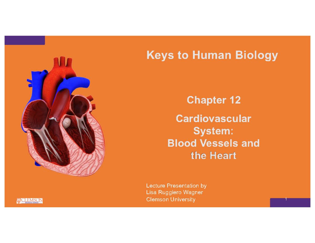 Chapter+12+Cardiovascular+SP+22+Modified - 1 Keys to Human Biology ...