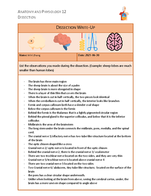 Anat test - anatomy - Anatomy of the Nose FRONTAL SINUS Eustachian tube ...