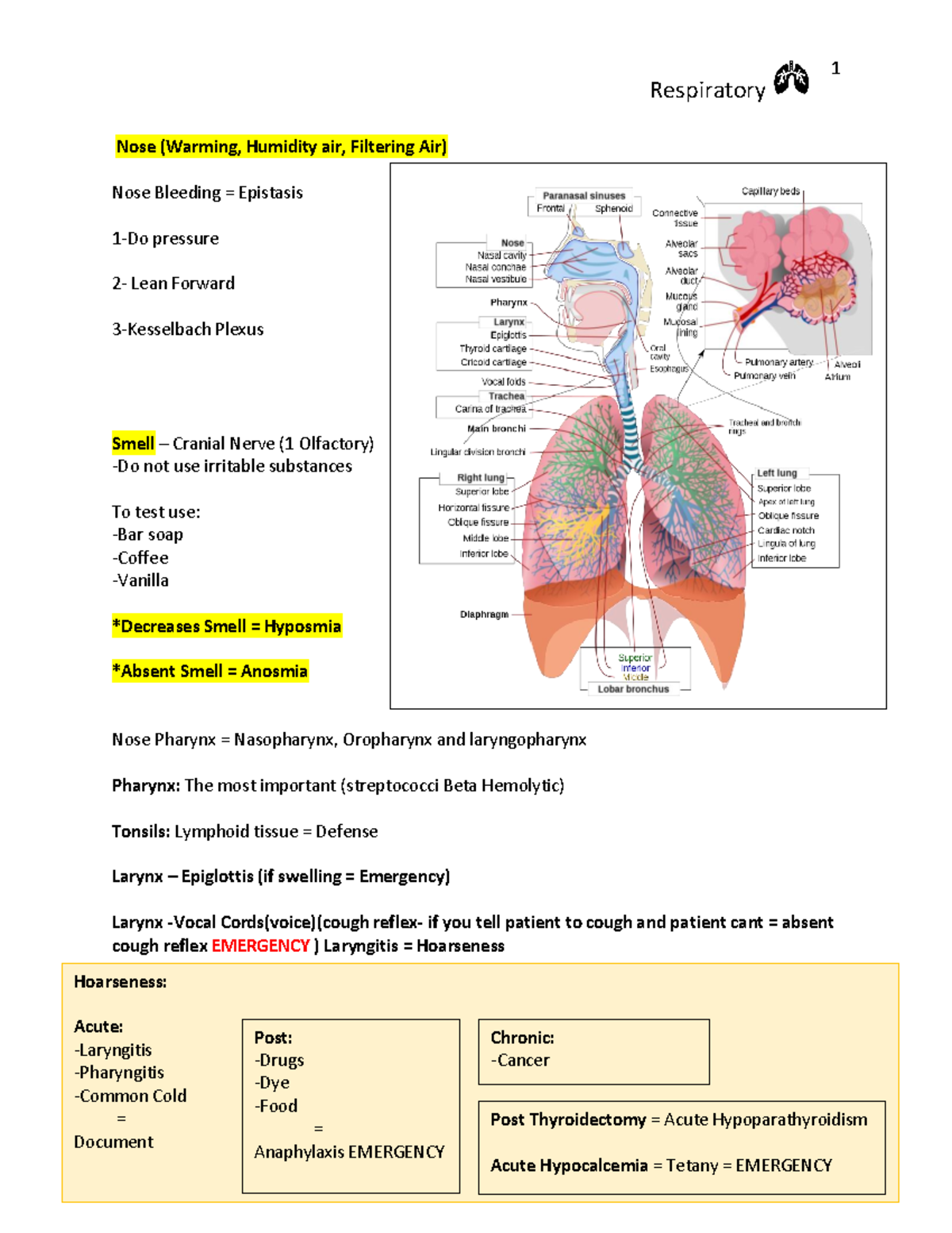 Respiratory Review - Respiratory Nose (Warming, Humidity air, Filtering ...