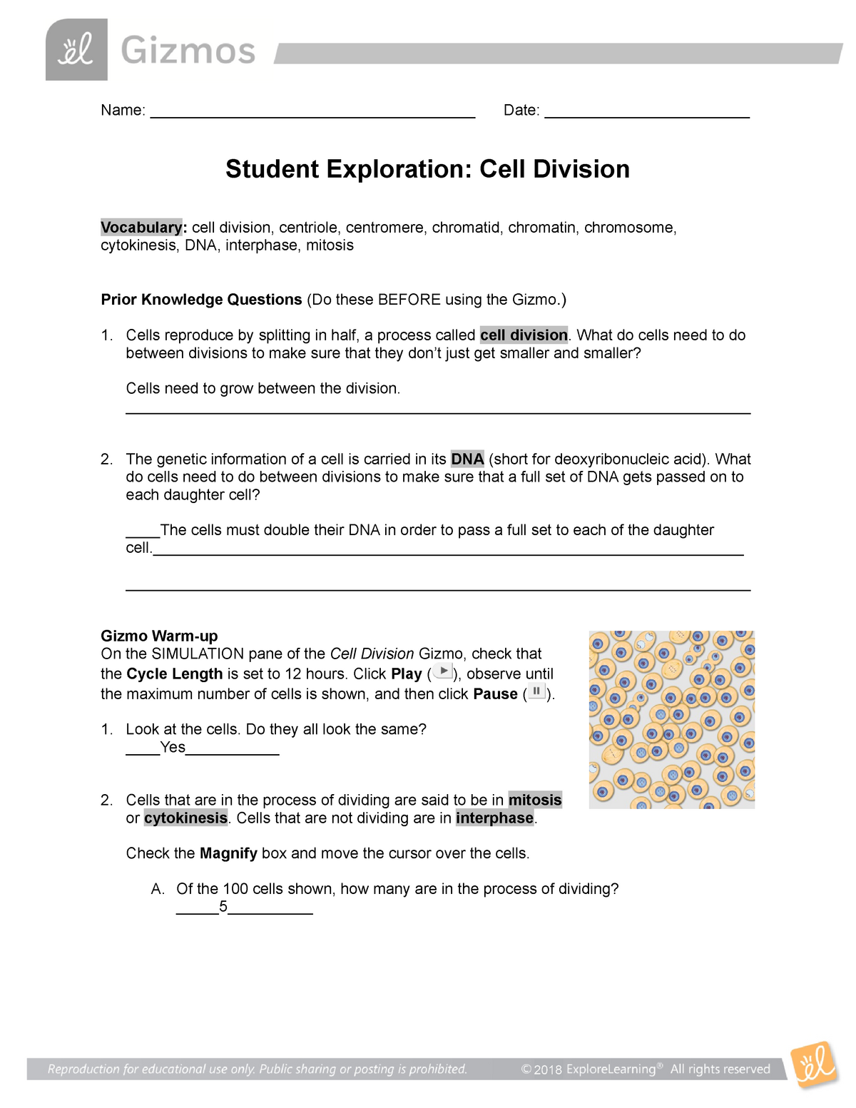 cell energy cycle gizmo answer questions ebooks pdf, amoeba sisters recap o...