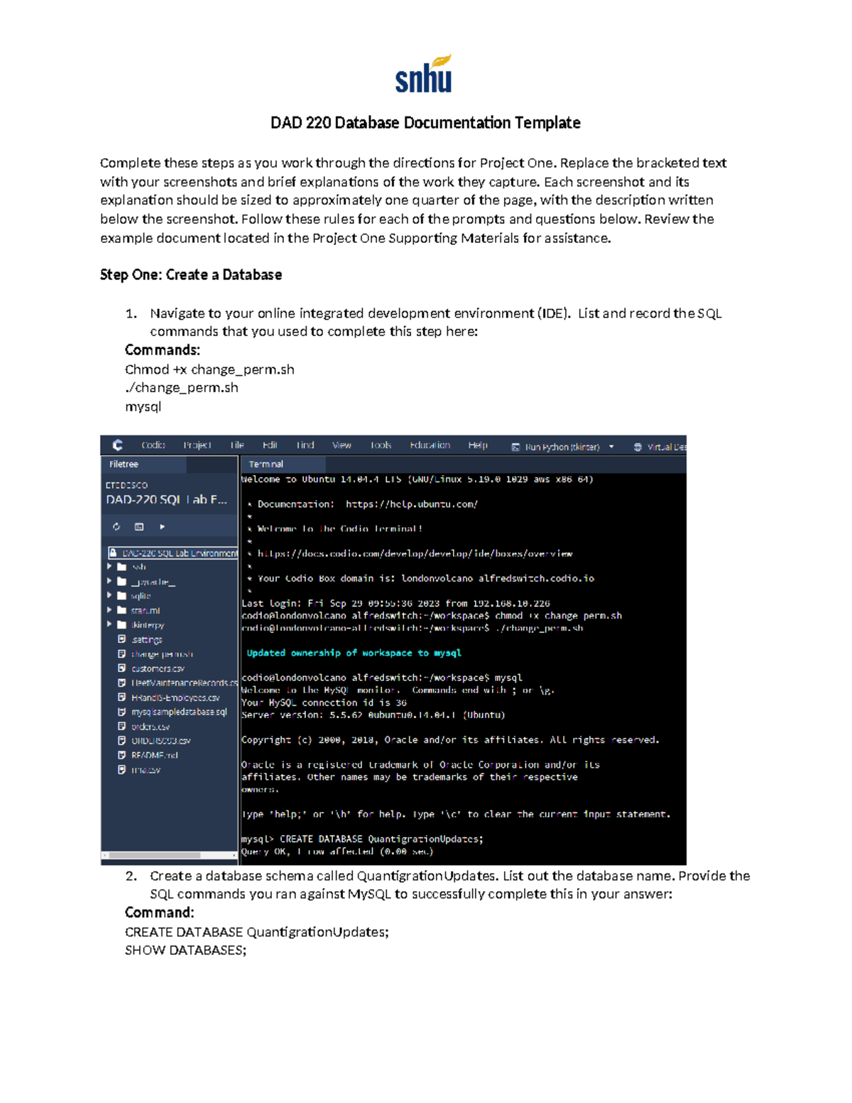 DAD 220 Database Documentation - Replace the bracketed text with your ...