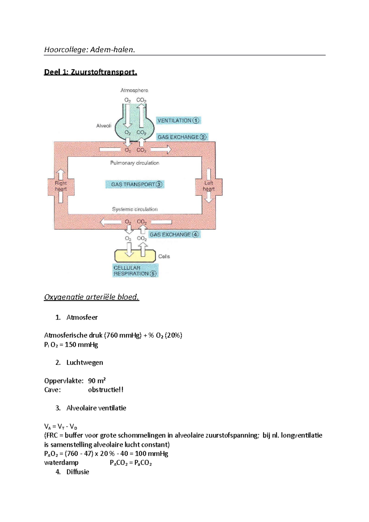 Hoorcollege (Automatisch Opgeslagen) - Hoorcollege: Adem-halen. Deel 1 ...