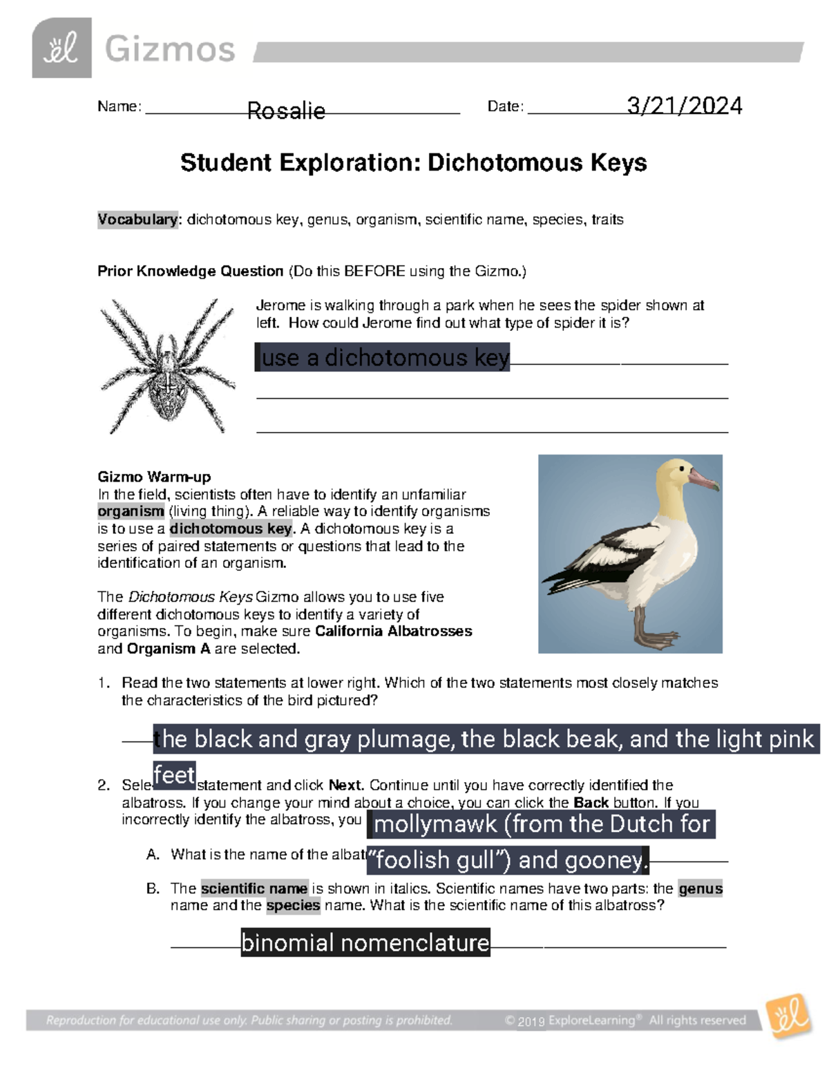 Kami Export - Dichotomous Keys SE - Name ...