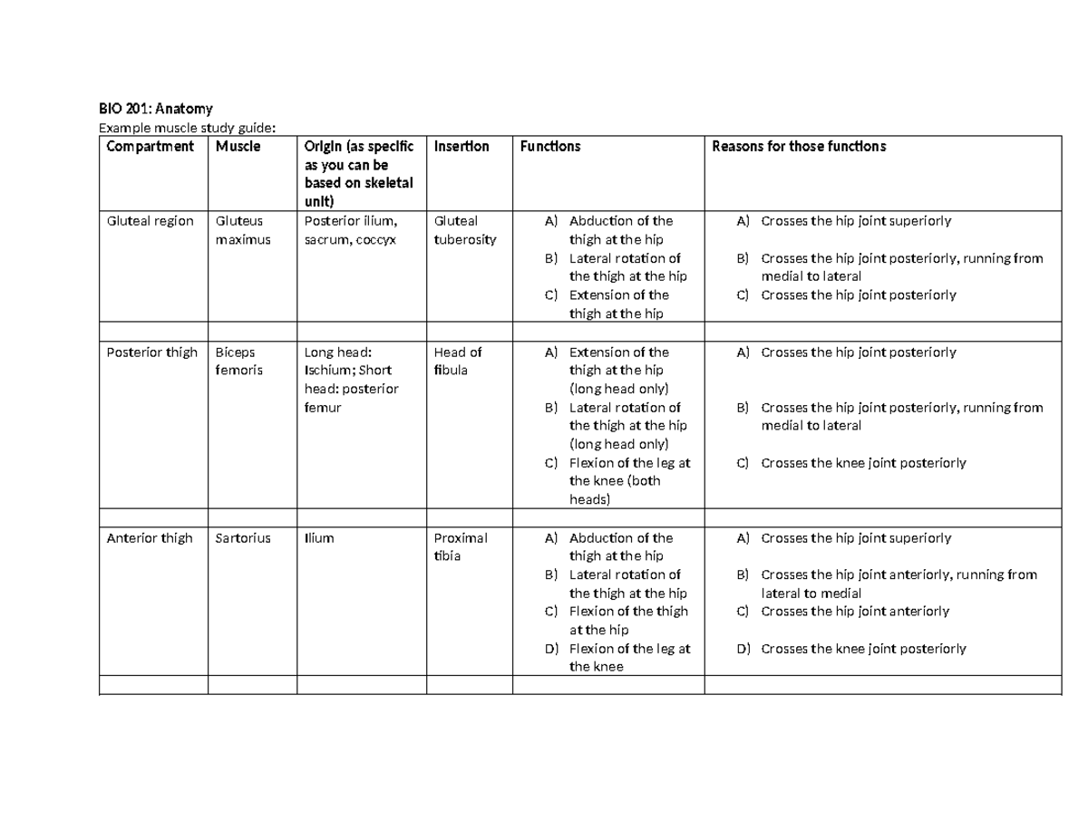 BIO 201 Example muscle sheet BIO 201 Anatomy Example muscle study