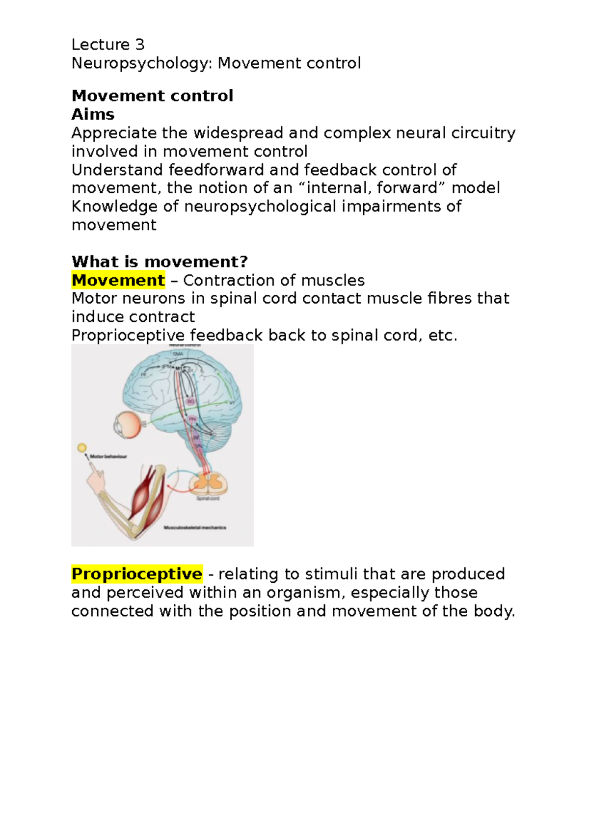 Lecture 3- Movement control - Neuropsychology: Movement control ...