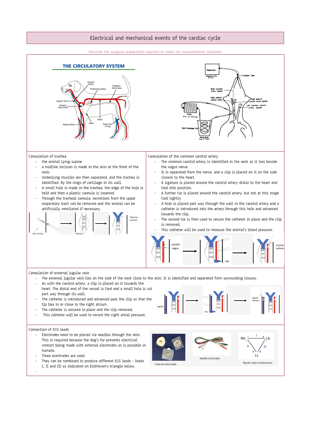 Phsl2101 week 7 online lab - Electrical and mechanical events of the ...