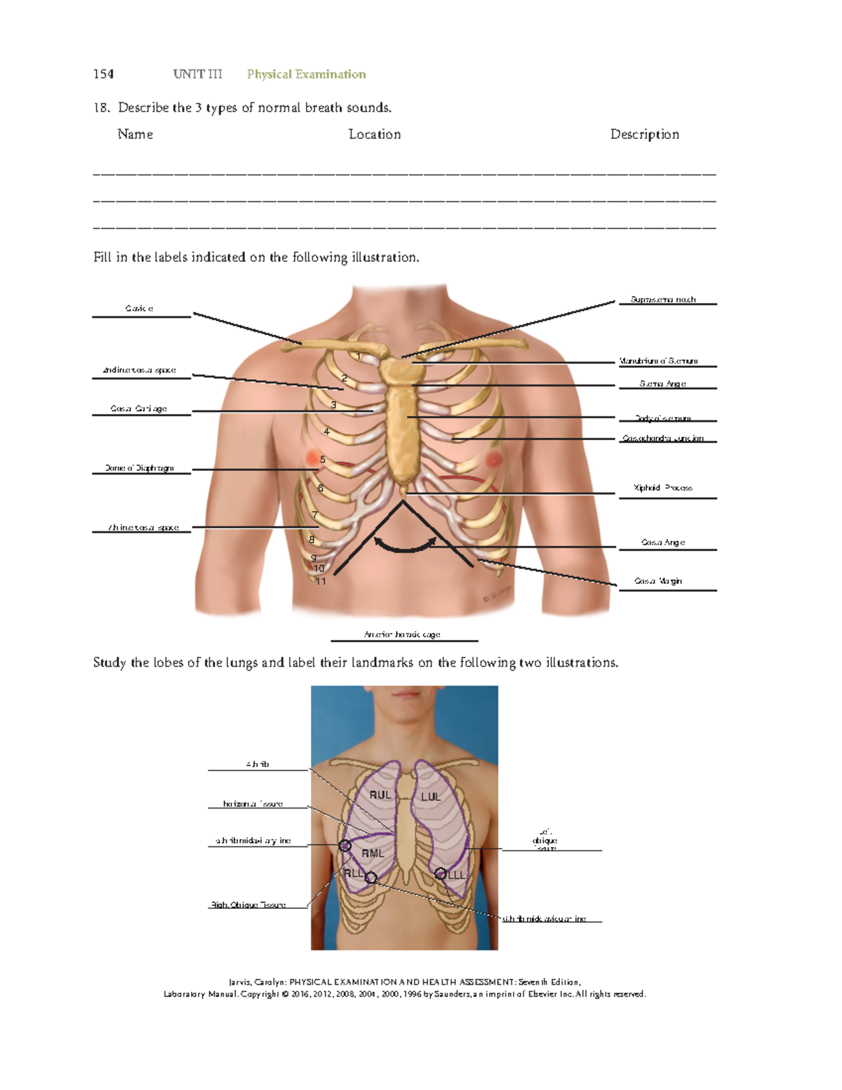 Thorax and Lung Lab - Hggghhj. - 154 UNIT III Physical Examination ...
