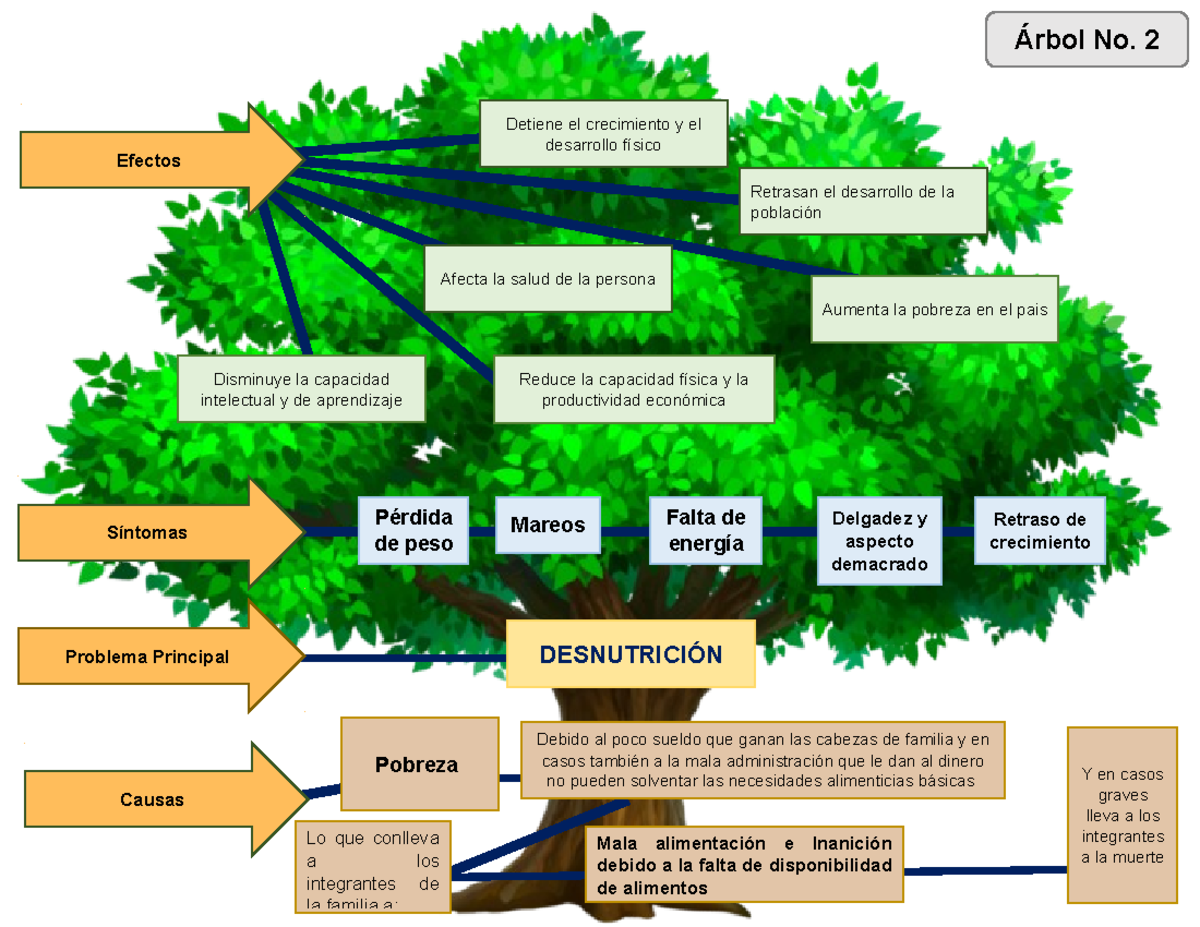 Arbol De Problemas De La Desnutricion Infantil