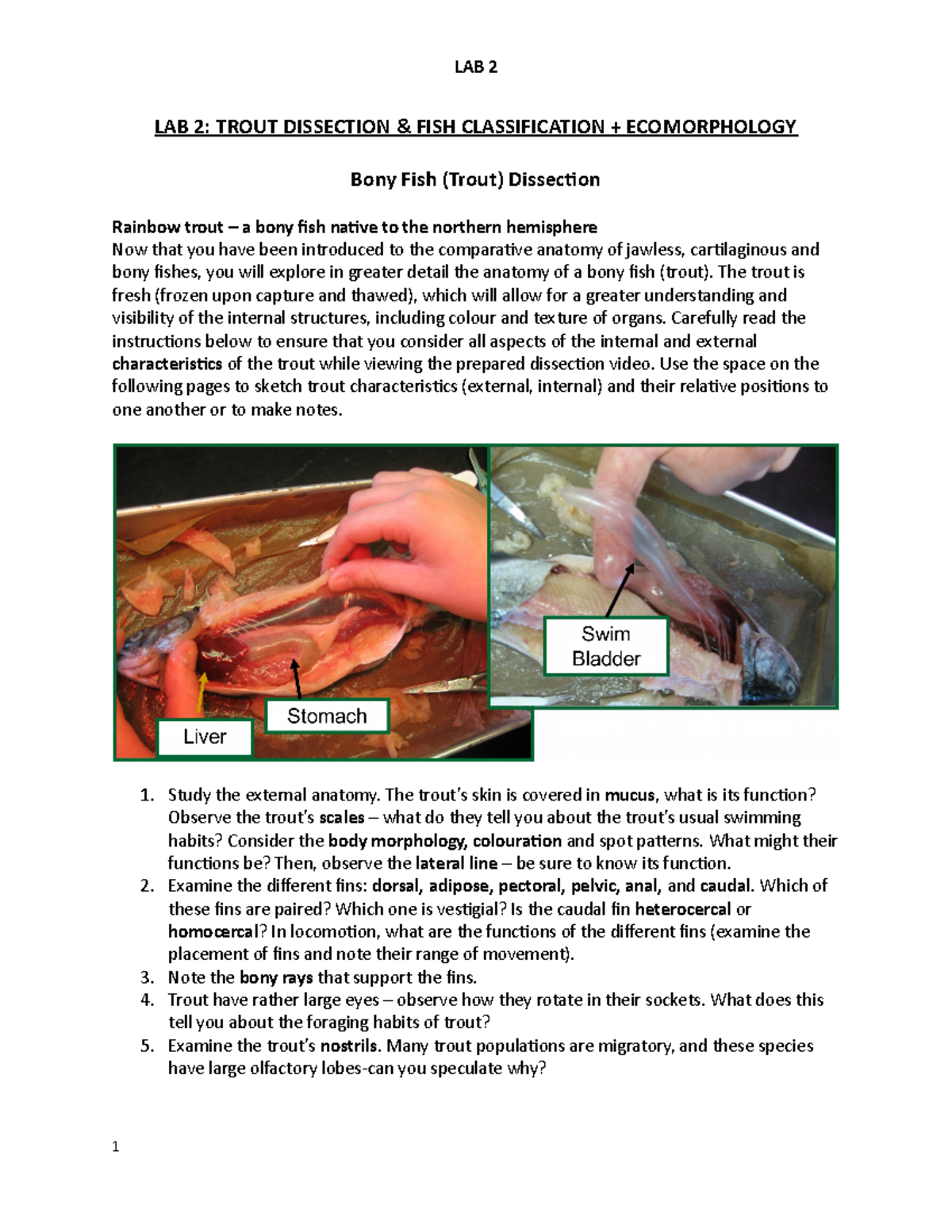 BIOL330 Lab 2 Lab Manual LAB 2 TROUT DISSECTION & FISH