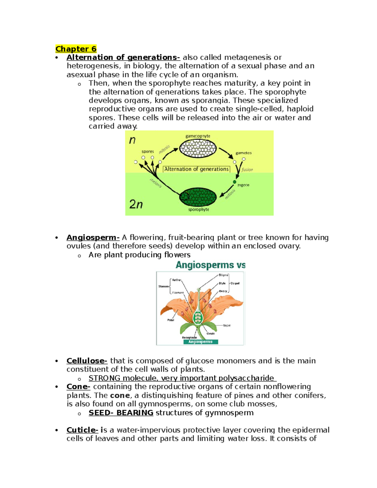 In Depth objectives and vocabulary - Chapter 6 Alternation of ...